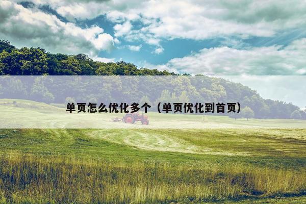 单页怎么优化多个（单页优化到首页）
