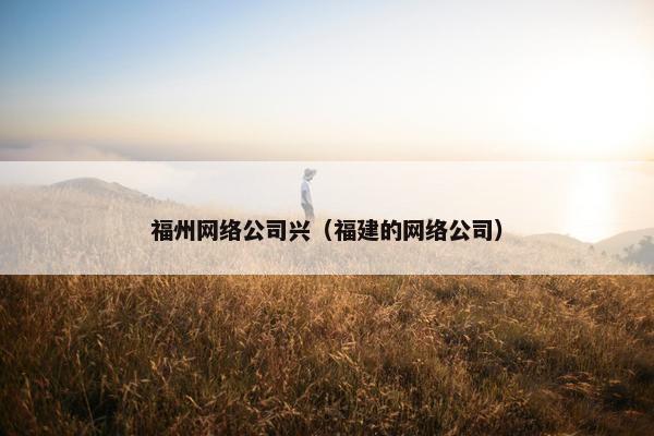 福州网络公司兴（福建的网络公司）