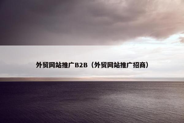 外贸网站推广B2B（外贸网站推广招商）