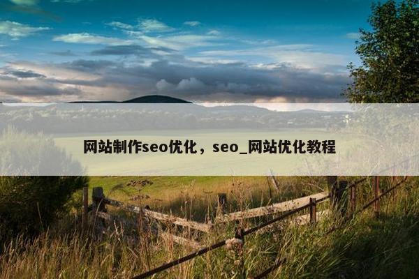网站制作seo优化，seo_网站优化教程