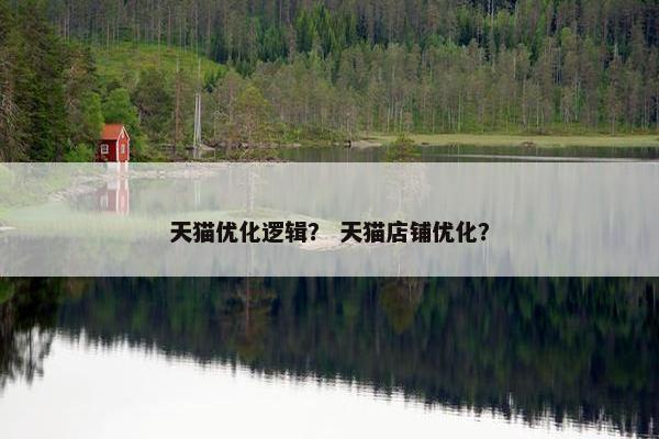 天猫优化逻辑？ 天猫店铺优化？