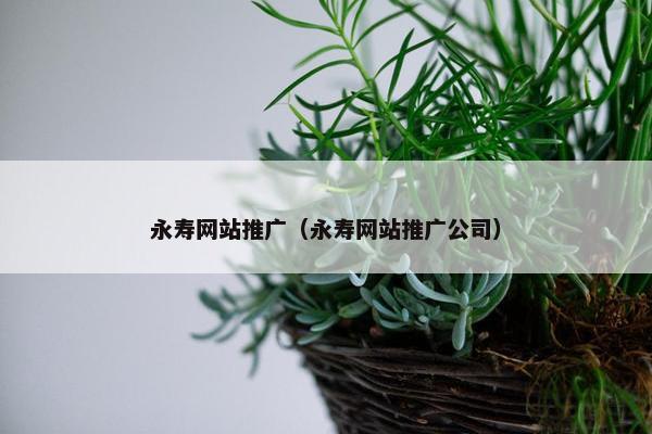 永寿网站推广（永寿网站推广公司）
