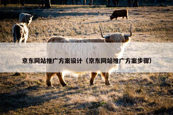 京东网站推广方案设计（京东网站推广方案步骤）