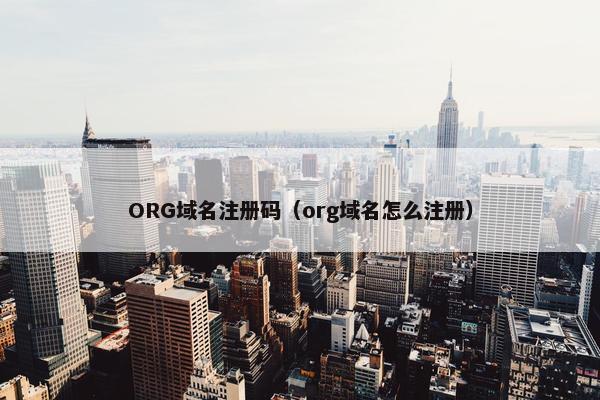 ORG域名注册码（org域名怎么注册）