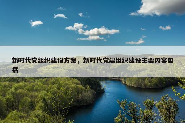 新时代党组织建设方案，新时代党建组织建设主要内容包括