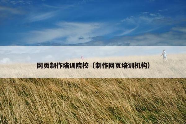 网页制作培训院校（制作网页培训机构）