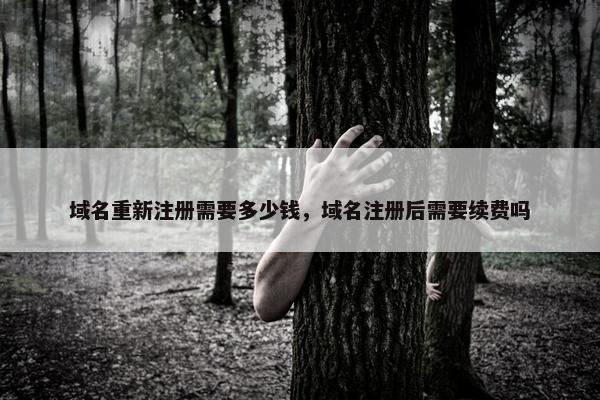 域名重新注册需要多少钱，域名注册后需要续费吗