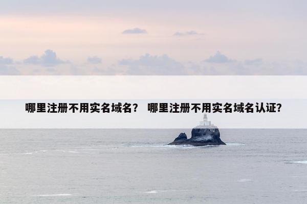 哪里注册不用实名域名？ 哪里注册不用实名域名认证？