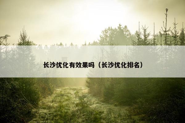 长沙优化有效果吗（长沙优化排名）