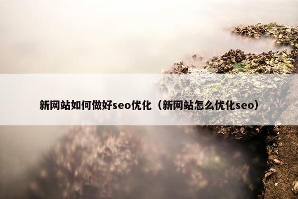 新网站如何做好seo优化（新网站怎么优化seo）