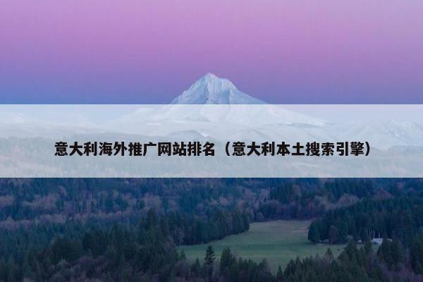 意大利海外推广网站排名（意大利本土搜索引擎）