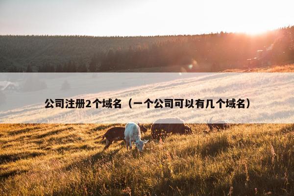 公司注册2个域名（一个公司可以有几个域名）