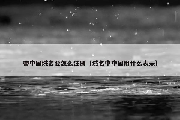 带中国域名要怎么注册（域名中中国用什么表示）