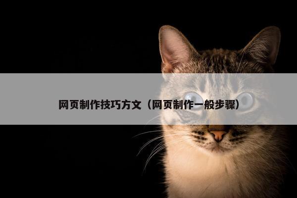 网页制作技巧方文（网页制作一般步骤）