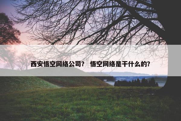 西安悟空网络公司？ 悟空网络是干什么的？