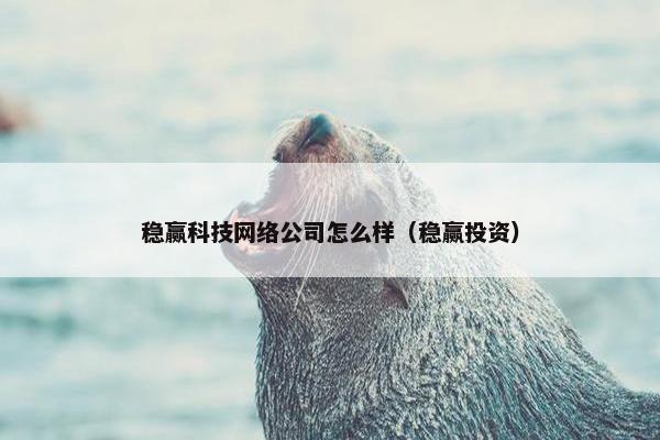 稳赢科技网络公司怎么样（稳赢投资）