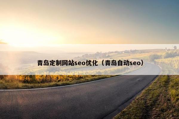 青岛定制网站seo优化（青岛自动seo）
