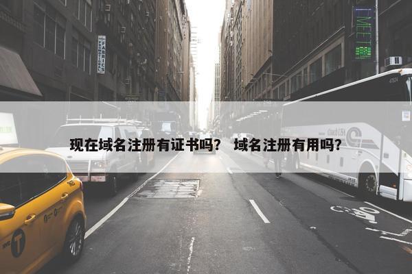 现在域名注册有证书吗？ 域名注册有用吗？