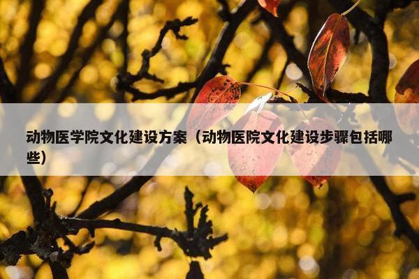 动物医学院文化建设方案（动物医院文化建设步骤包括哪些）