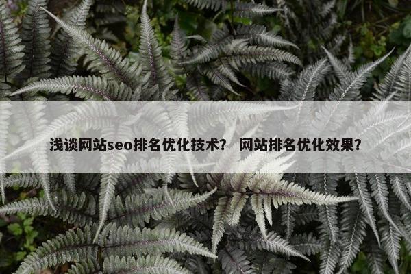 浅谈网站seo排名优化技术？ 网站排名优化效果？