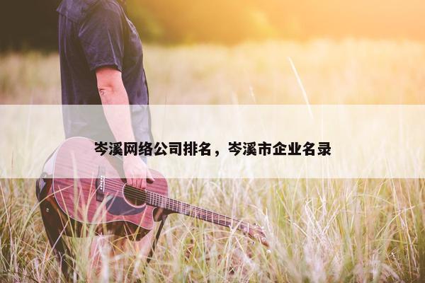岑溪网络公司排名，岑溪市企业名录