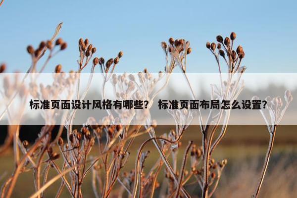 标准页面设计风格有哪些？ 标准页面布局怎么设置？