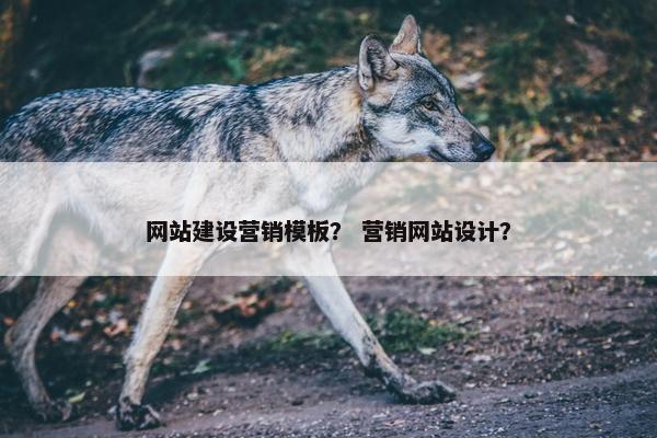网站建设营销模板？ 营销网站设计？
