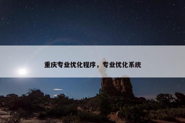 重庆专业优化程序，专业优化系统