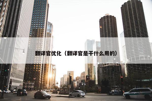 翻译官优化（翻译官是干什么用的）