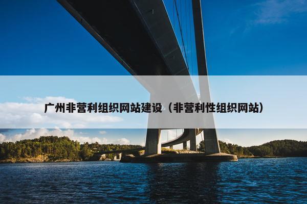 广州非营利组织网站建设（非营利性组织网站）