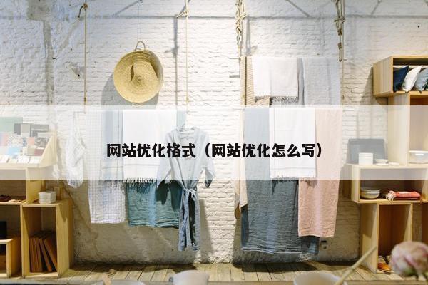 网站优化格式（网站优化怎么写）