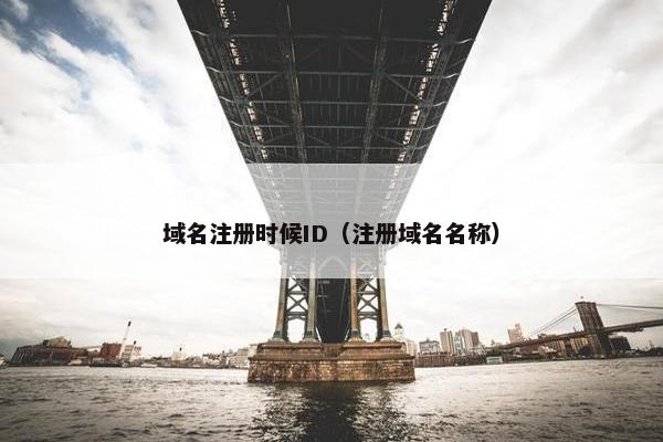域名注册时候ID（注册域名名称）
