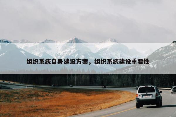 组织系统自身建设方案，组织系统建设重要性