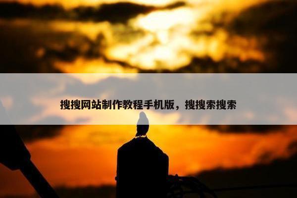 搜搜网站制作教程手机版，搜搜索搜索