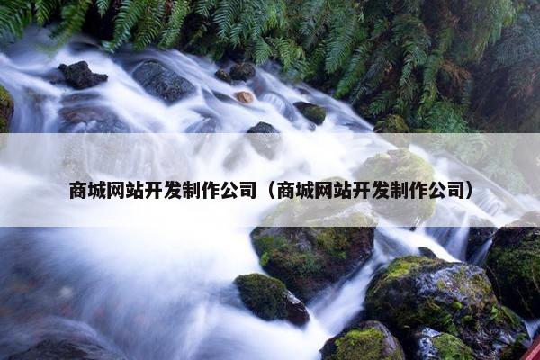 商城网站开发制作公司（商城网站开发制作公司）