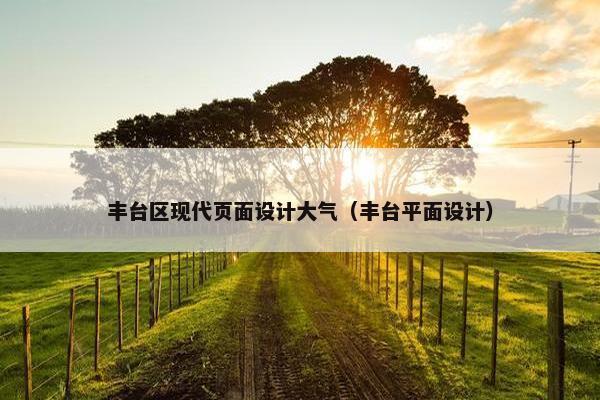 丰台区现代页面设计大气（丰台平面设计）