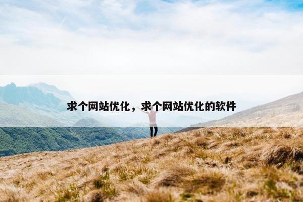 求个网站优化，求个网站优化的软件