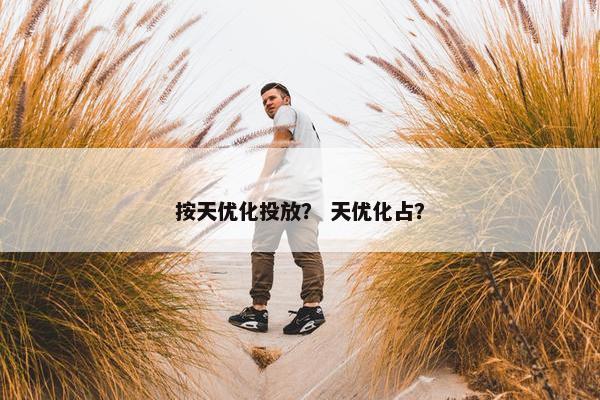 按天优化投放？ 天优化占？