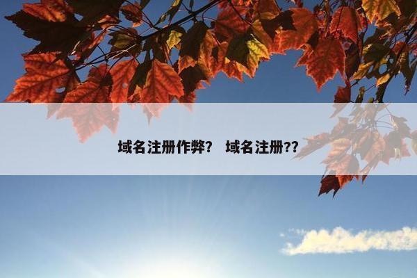域名注册作弊？ 域名注册?？