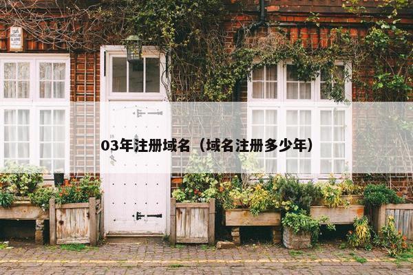 03年注册域名（域名注册多少年）