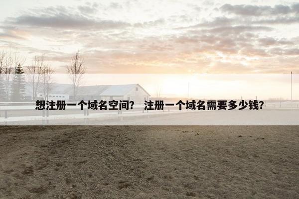 想注册一个域名空间？ 注册一个域名需要多少钱？