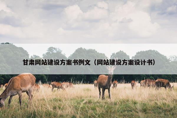 甘肃网站建设方案书例文（网站建设方案设计书）