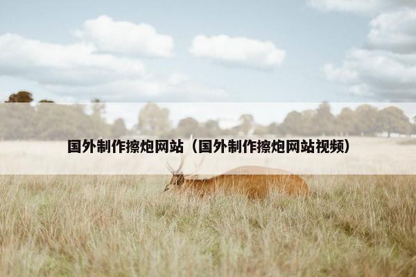 国外制作擦炮网站（国外制作擦炮网站视频）
