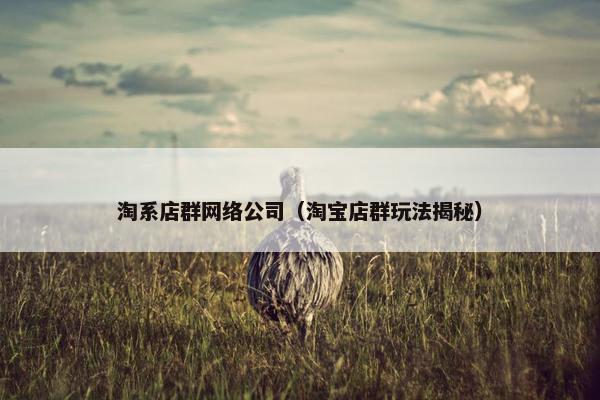淘系店群网络公司（淘宝店群玩法揭秘）