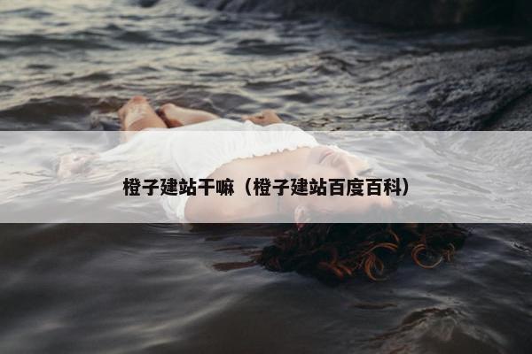 橙子建站干嘛（橙子建站百度百科）