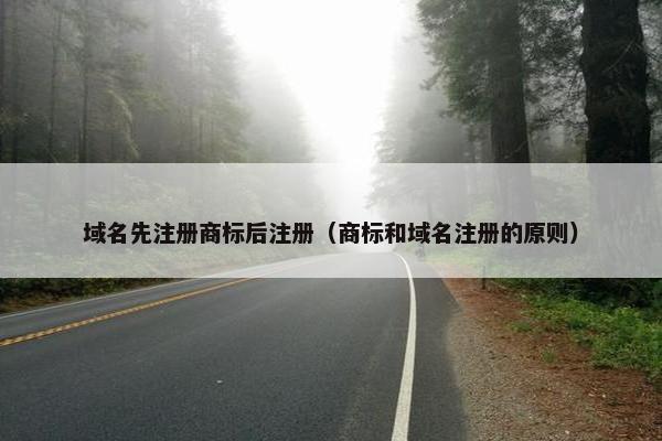 域名先注册商标后注册（商标和域名注册的原则）