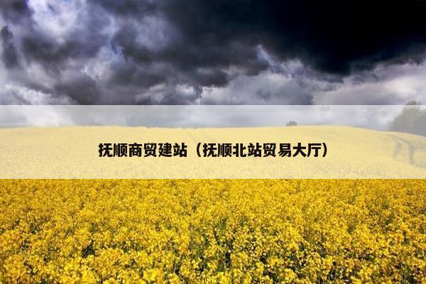 抚顺商贸建站（抚顺北站贸易大厅）