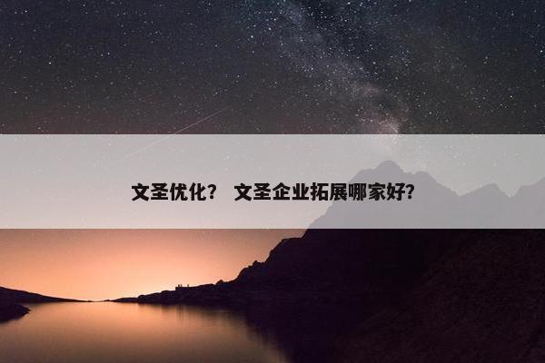 文圣优化？ 文圣企业拓展哪家好？