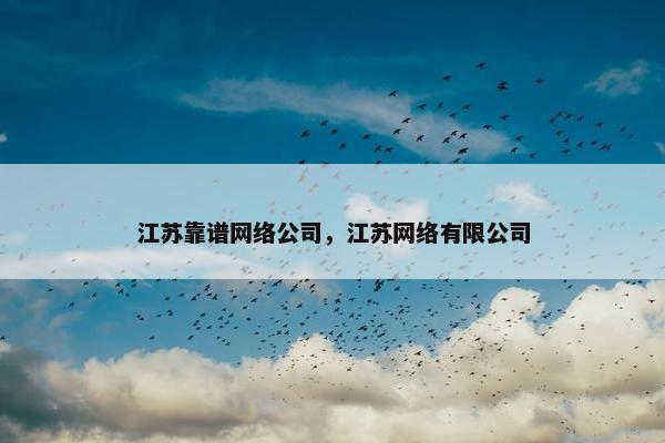 江苏靠谱网络公司，江苏网络有限公司