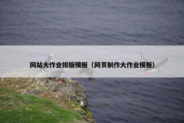 网站大作业排版模板（网页制作大作业模板）